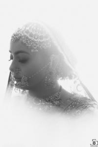 Photos by Safarsaga Films